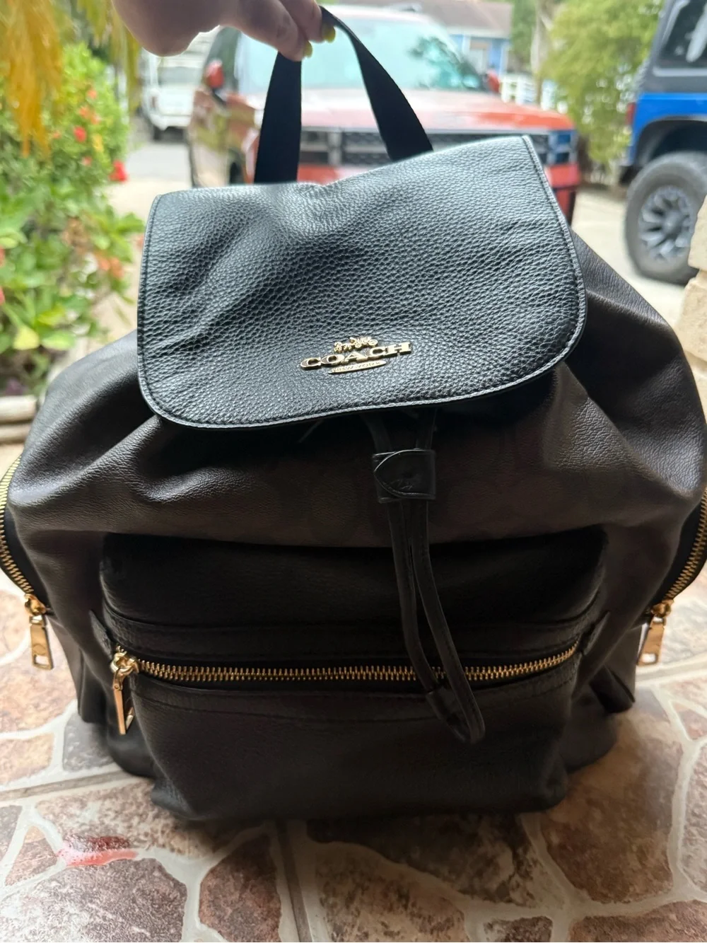 Coach Brown and Black Signature Canvas Mini Backpack with Gold Hardware